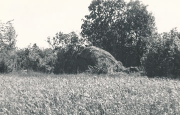 eika image